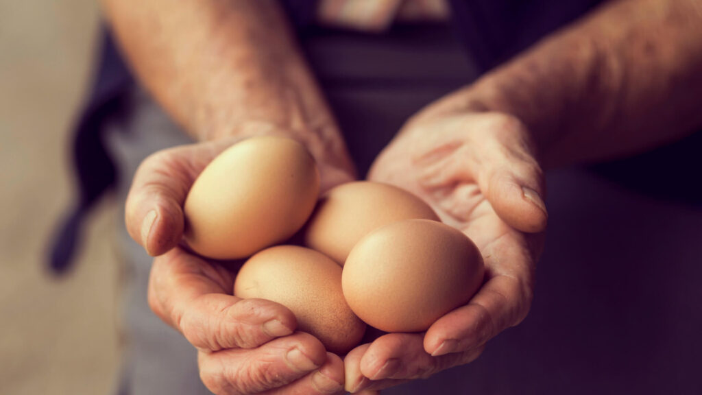 manos sosteniendo huevos